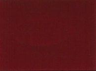 2004 Mitsubishi Rio Red Effect